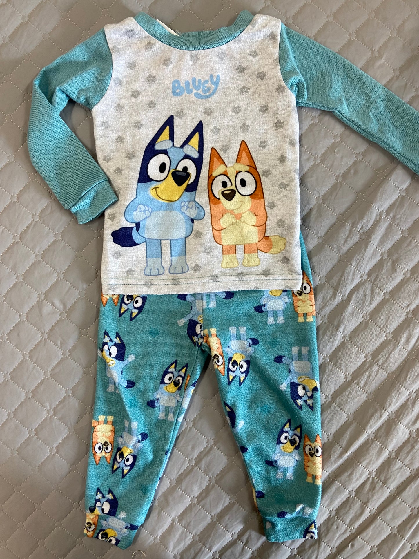 Bluey Pajama Set, 2t