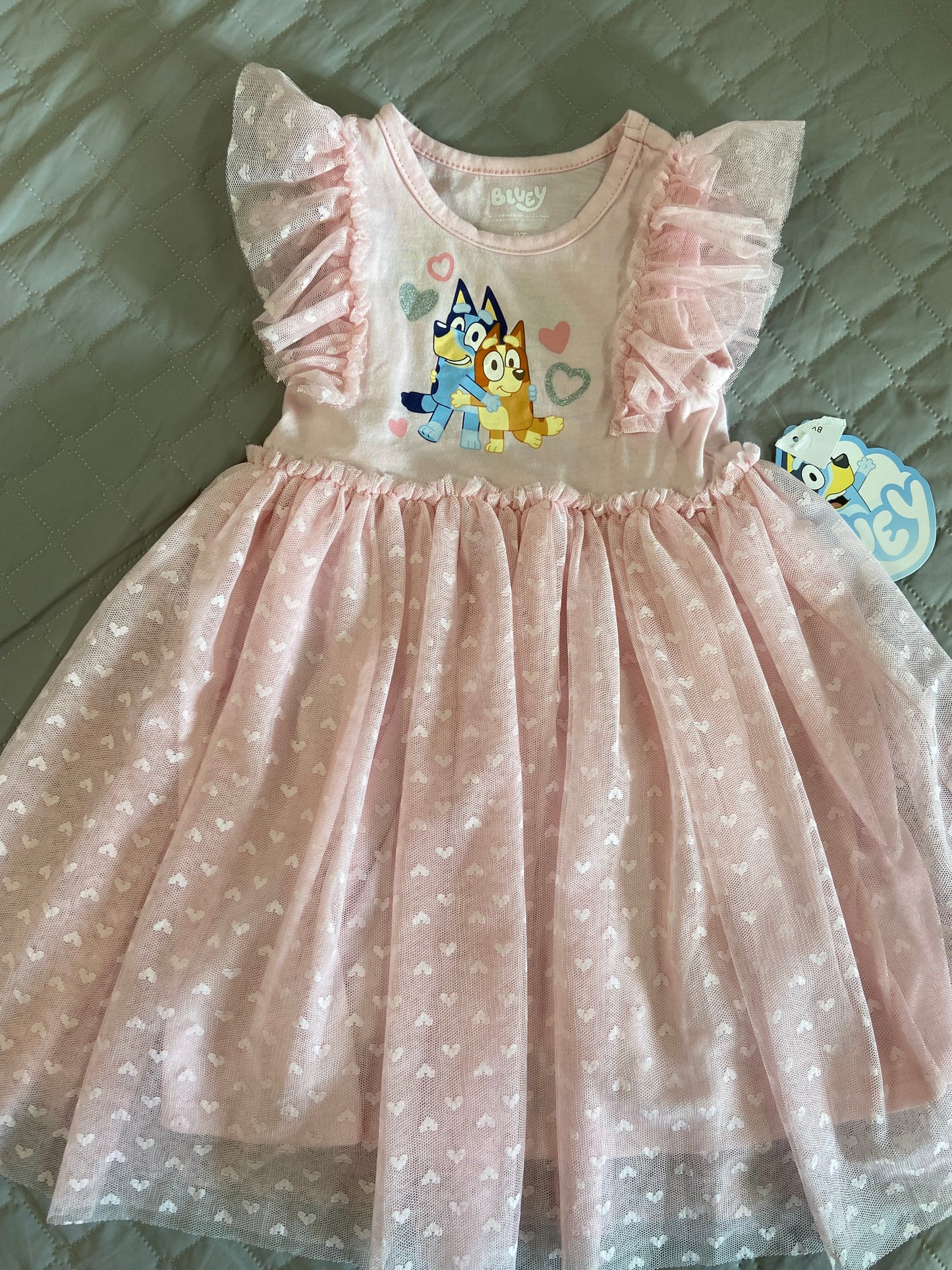 New Bluey Dress, 2t
