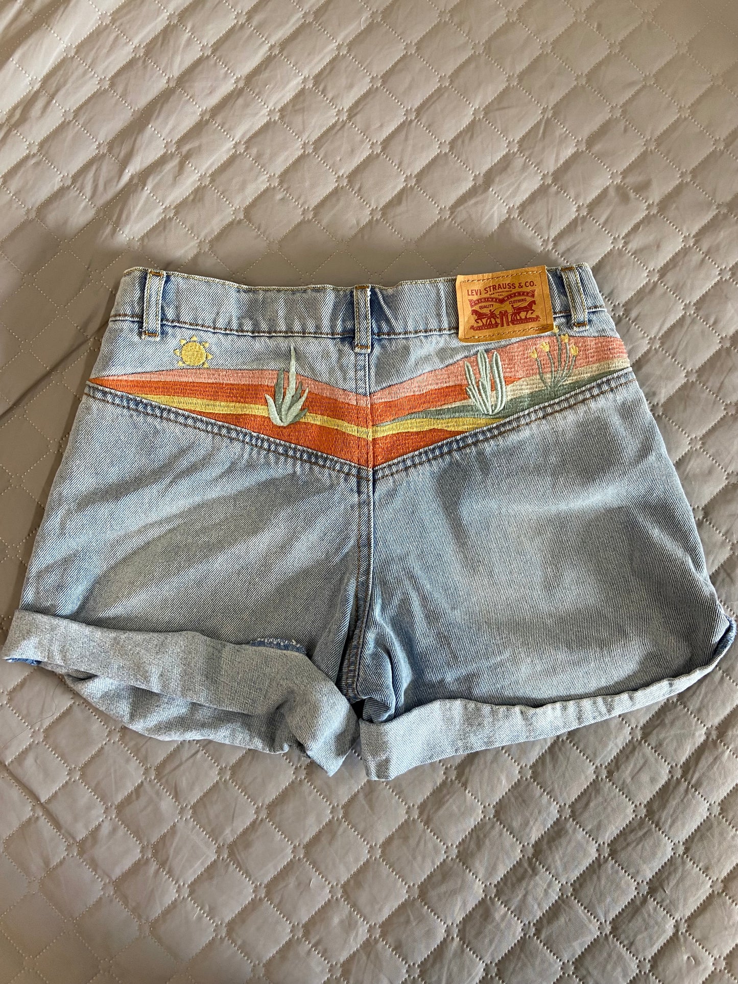 Levis Shorts, 12