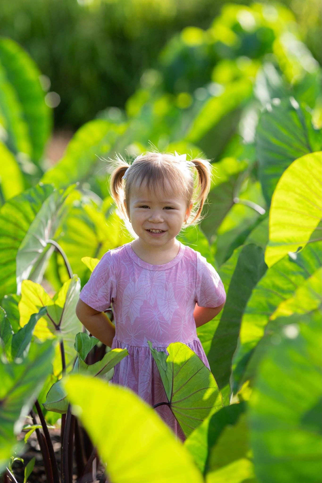 Pink Loʻi Kalo Bamboo Kaliko Dress: 2Y
