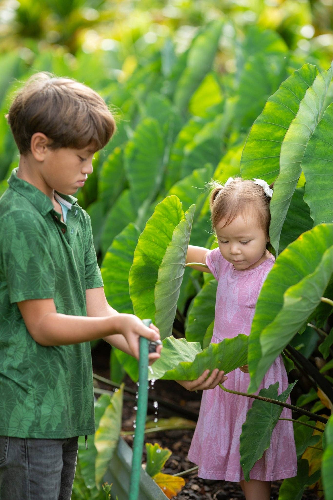 Pink Loʻi Kalo Bamboo Kaliko Dress: 4Y