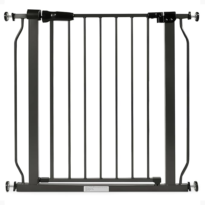 New BalanceFrom Safety Gate