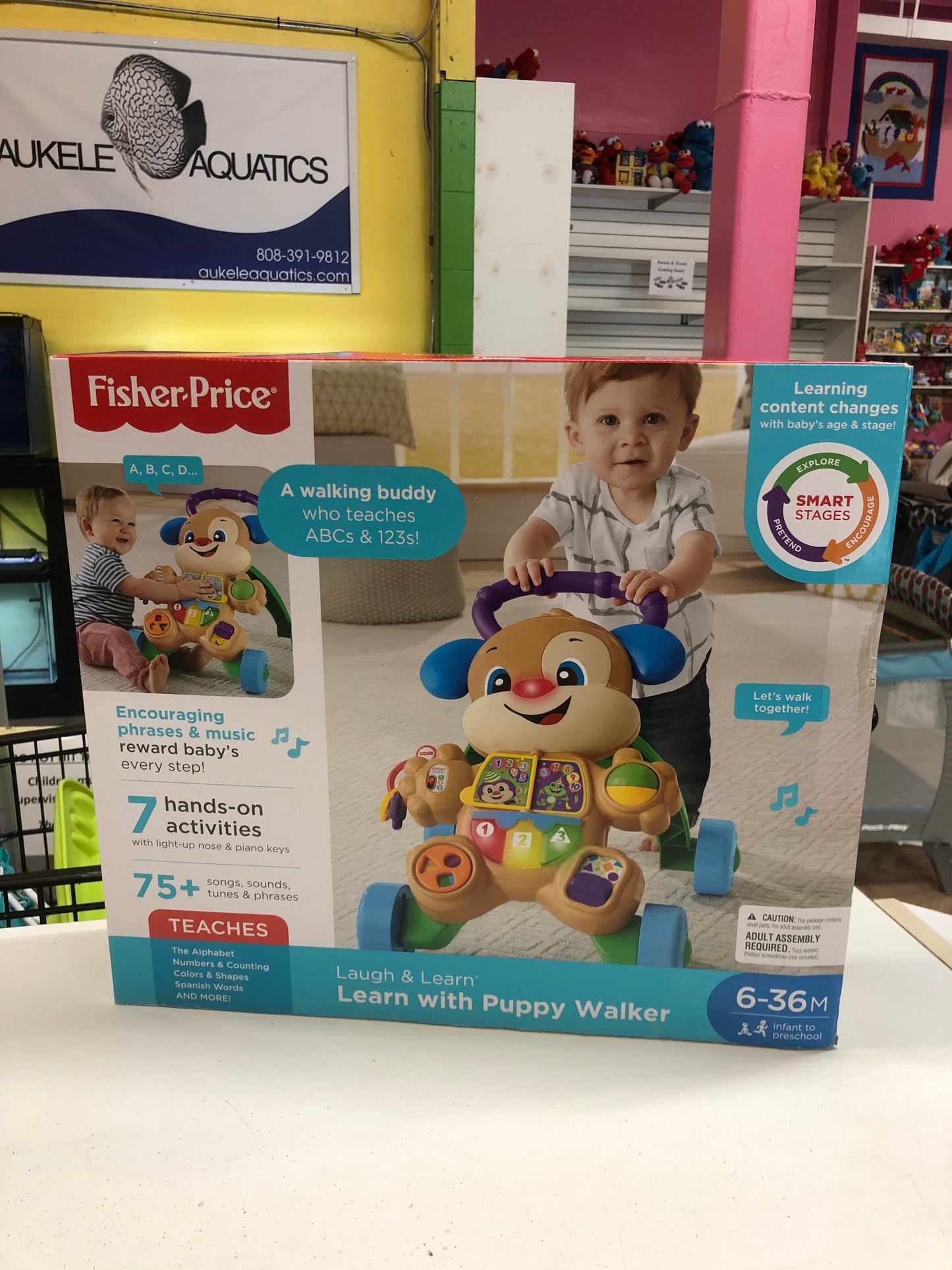 New Fisher Price Learn with Puppy Walker