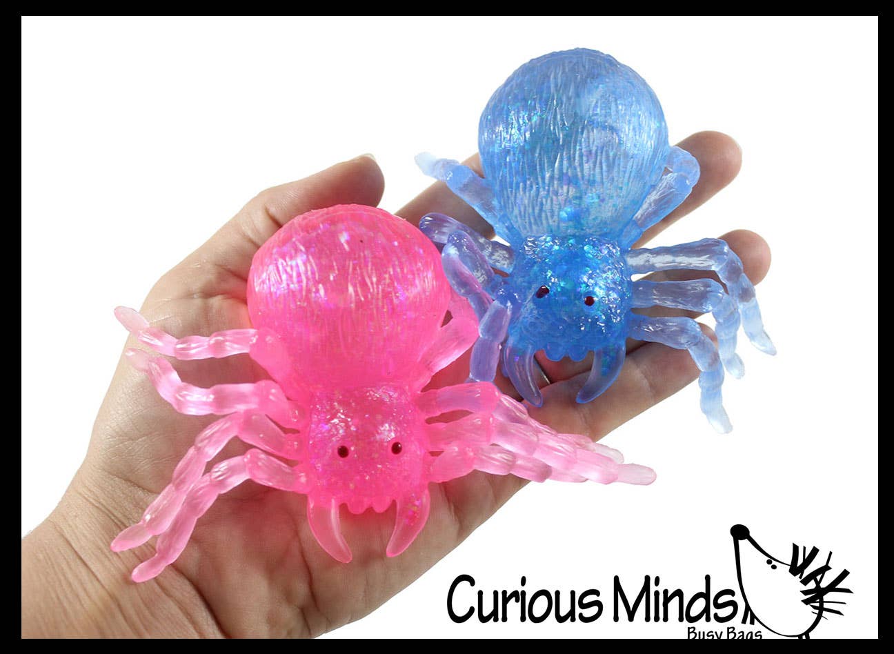 Spooky Spider Squishy