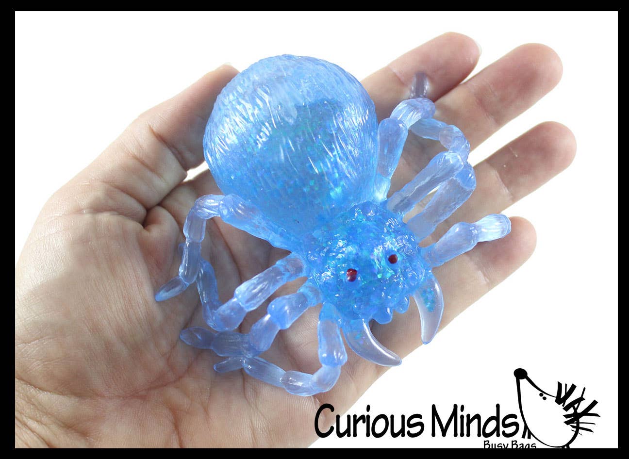 Spooky Spider Squishy