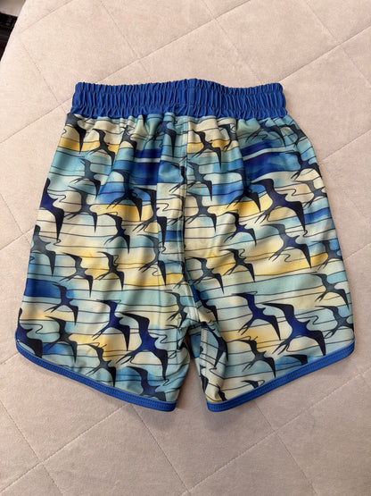 Blue Iwa Board Shorts