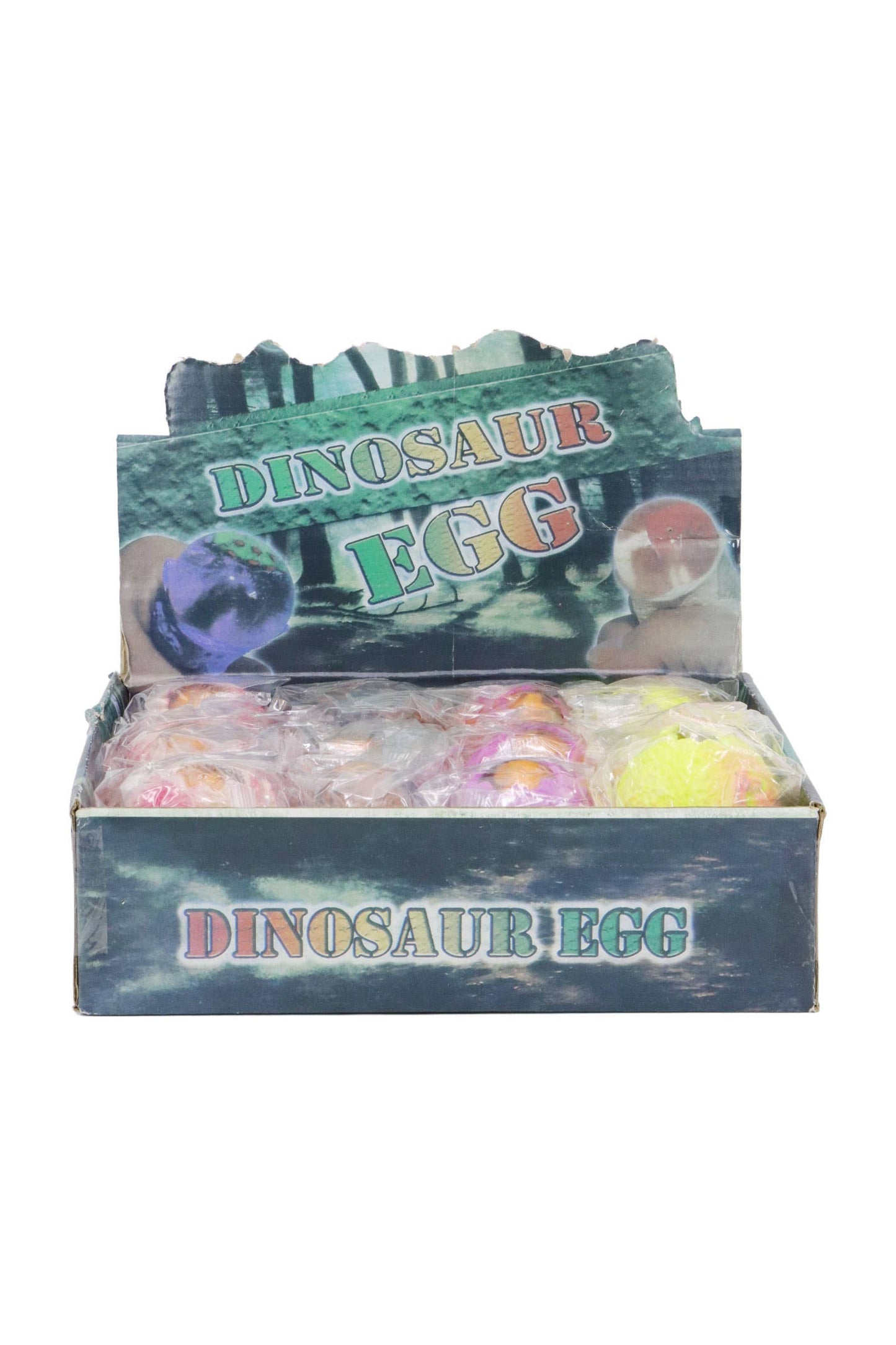 Dinosaur Egg Fossil Figure Water Filled Squishy