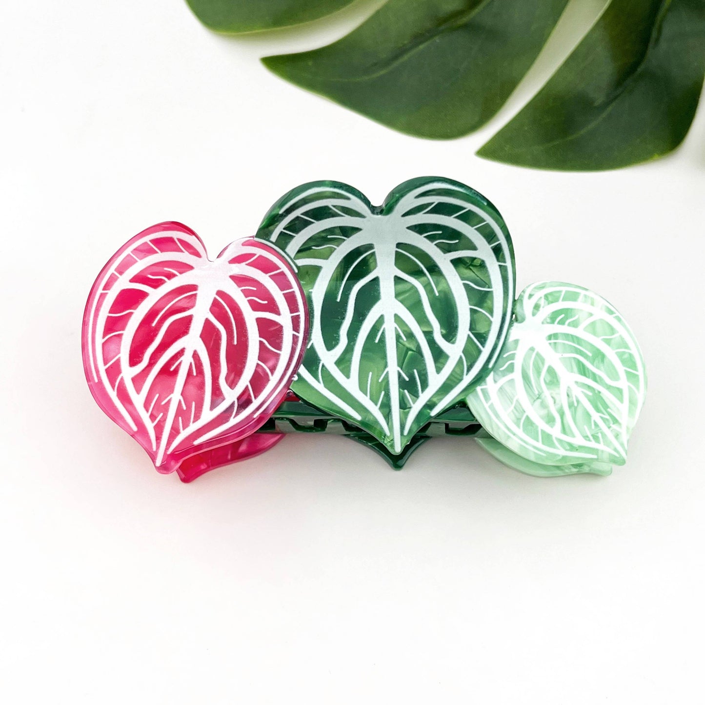 Red Palm Leaf & Monstera Acetate Hair Claw Clip: B
