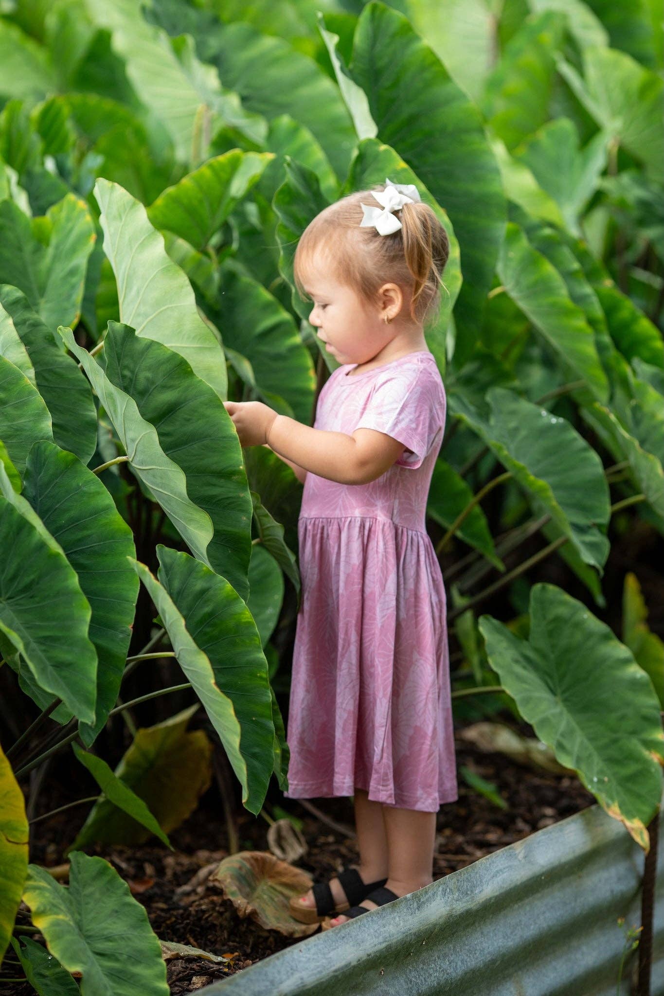 Pink Loʻi Kalo Bamboo Kaliko Dress: 2Y