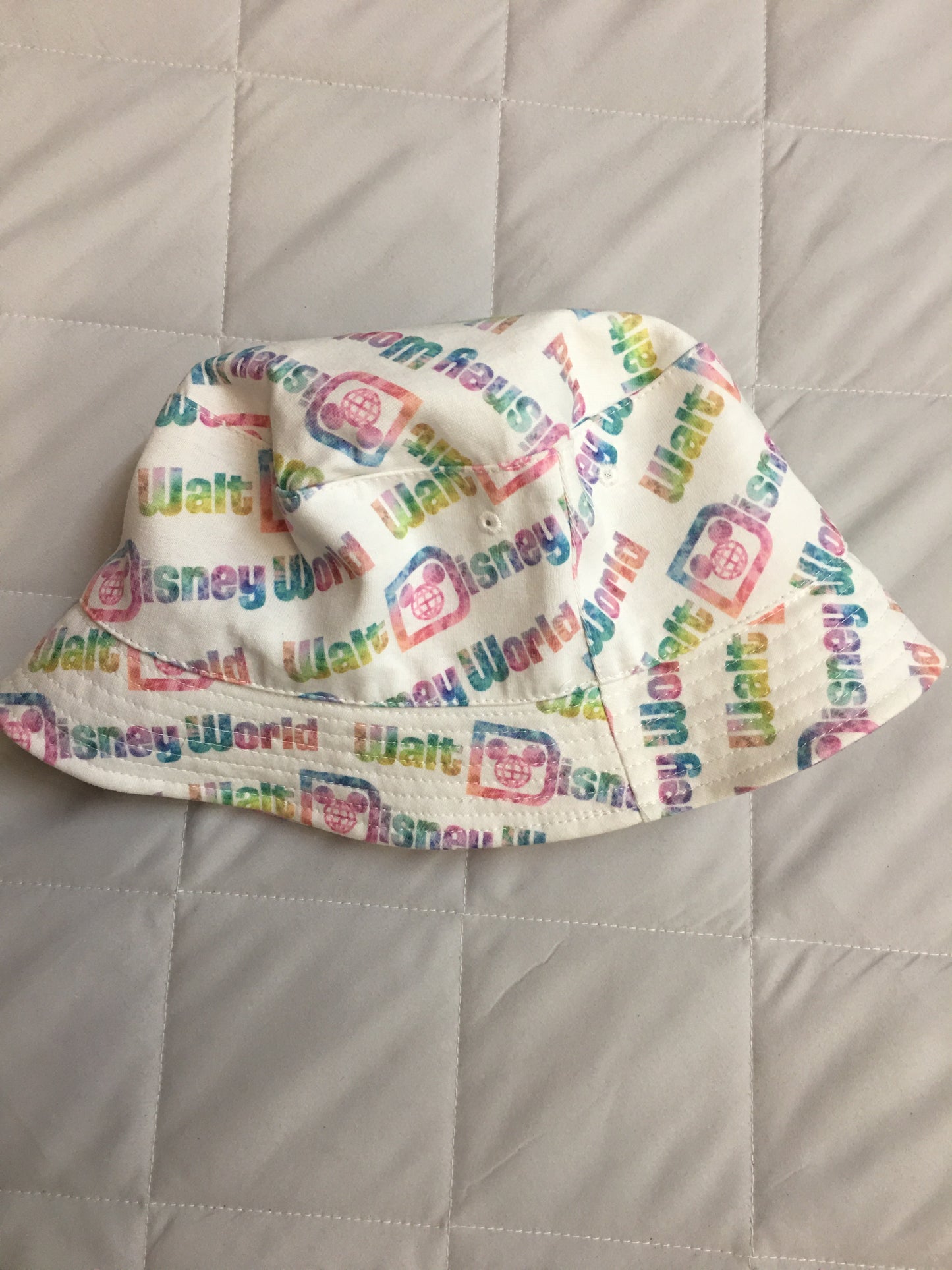 Disney Hat