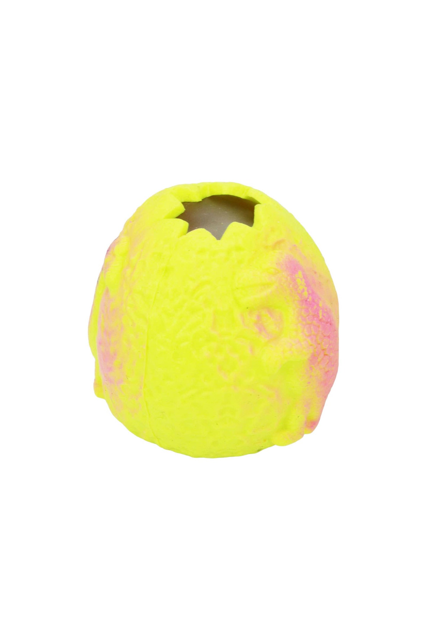 Dinosaur Egg Fossil Figure Water Filled Squishy