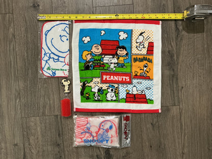 vintage Snoopy bath and grooming, bundle brush wash cloth towel, scrub￼