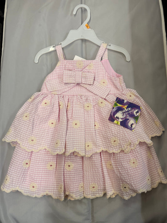 New Blueberri Boulevard Dress, 12M
