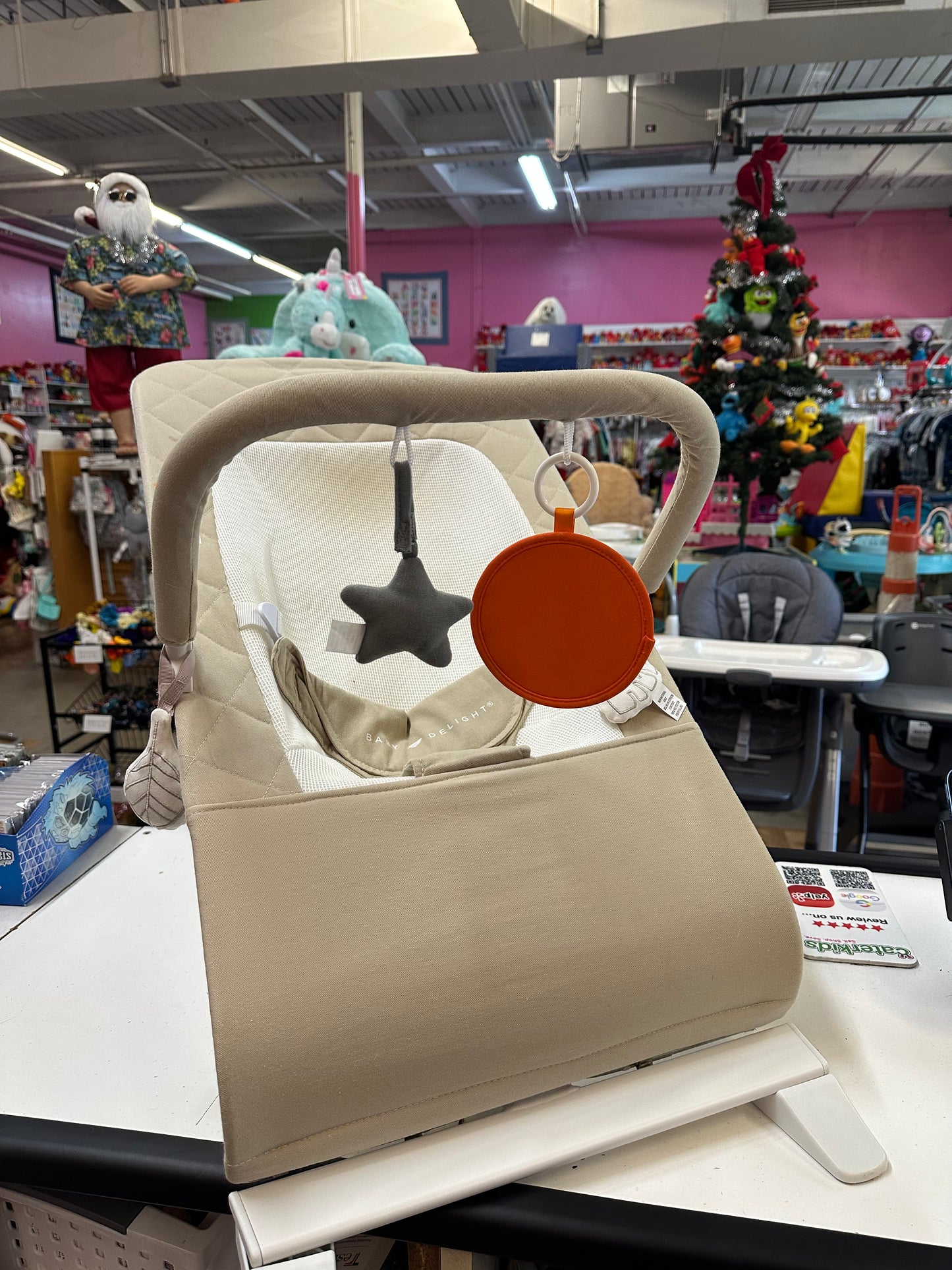 Baby Delight Bouncer