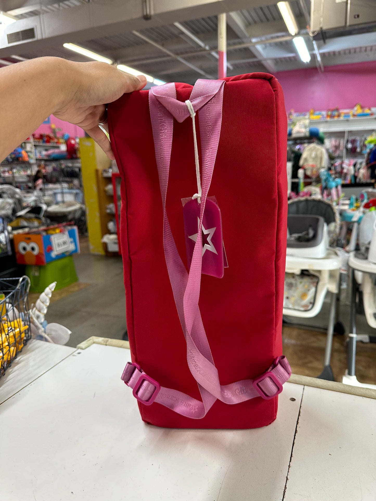 American Girl Backpack Case