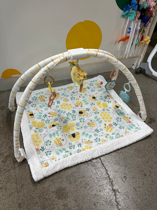 Fisher Price Play Gym, Bee