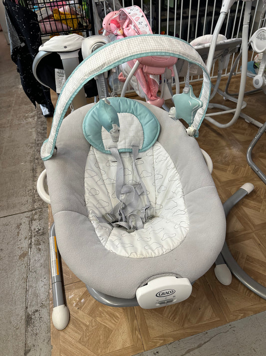 Graco Duet Sway Swing