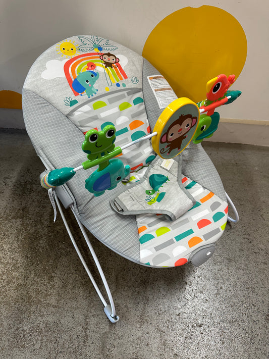 Bright Starts Bouncer, Multi/Animals