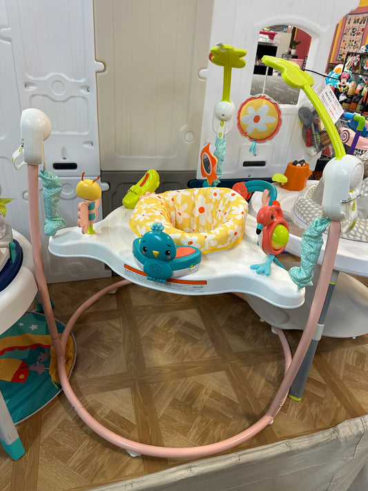 Fisher Price Jumperoo, Pink