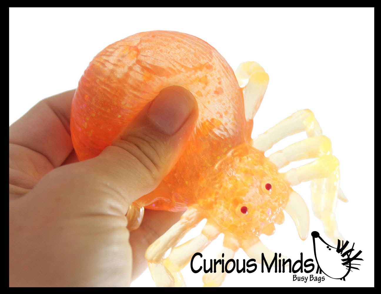 Spooky Spider Squishy