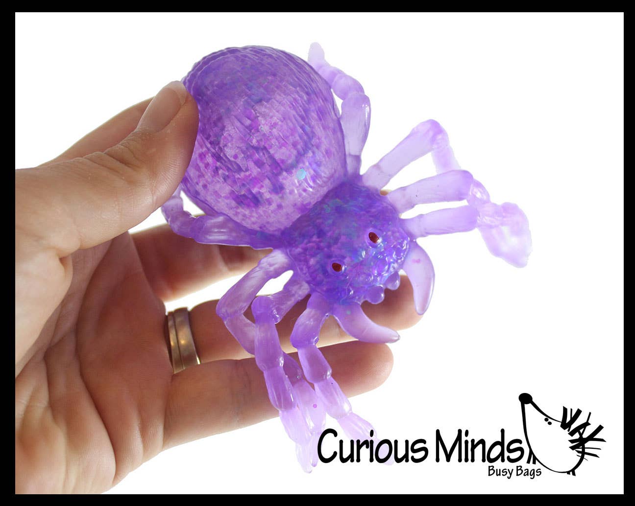 Spooky Spider Squishy