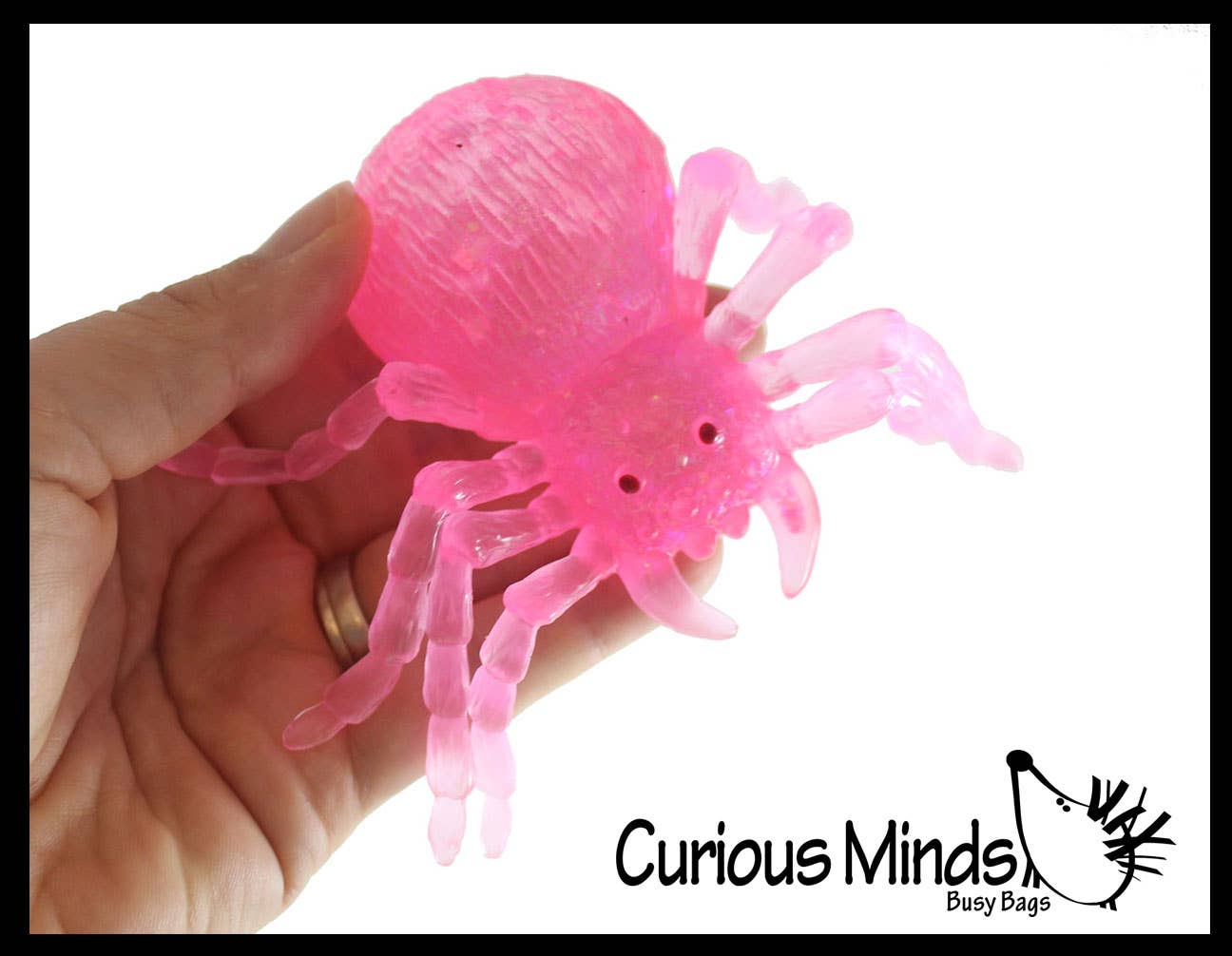 Spooky Spider Squishy