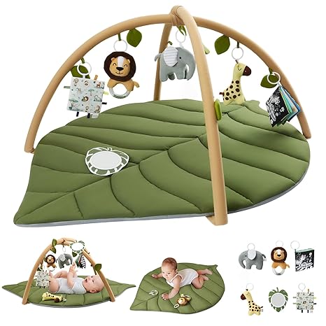 New Blissful Diary Play Gym