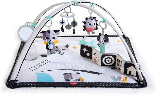 Tiny Love Play Gym