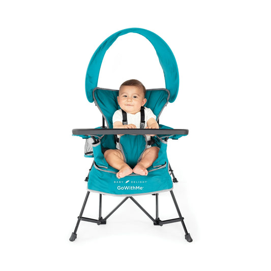 Baby Delight Go with Me Chair