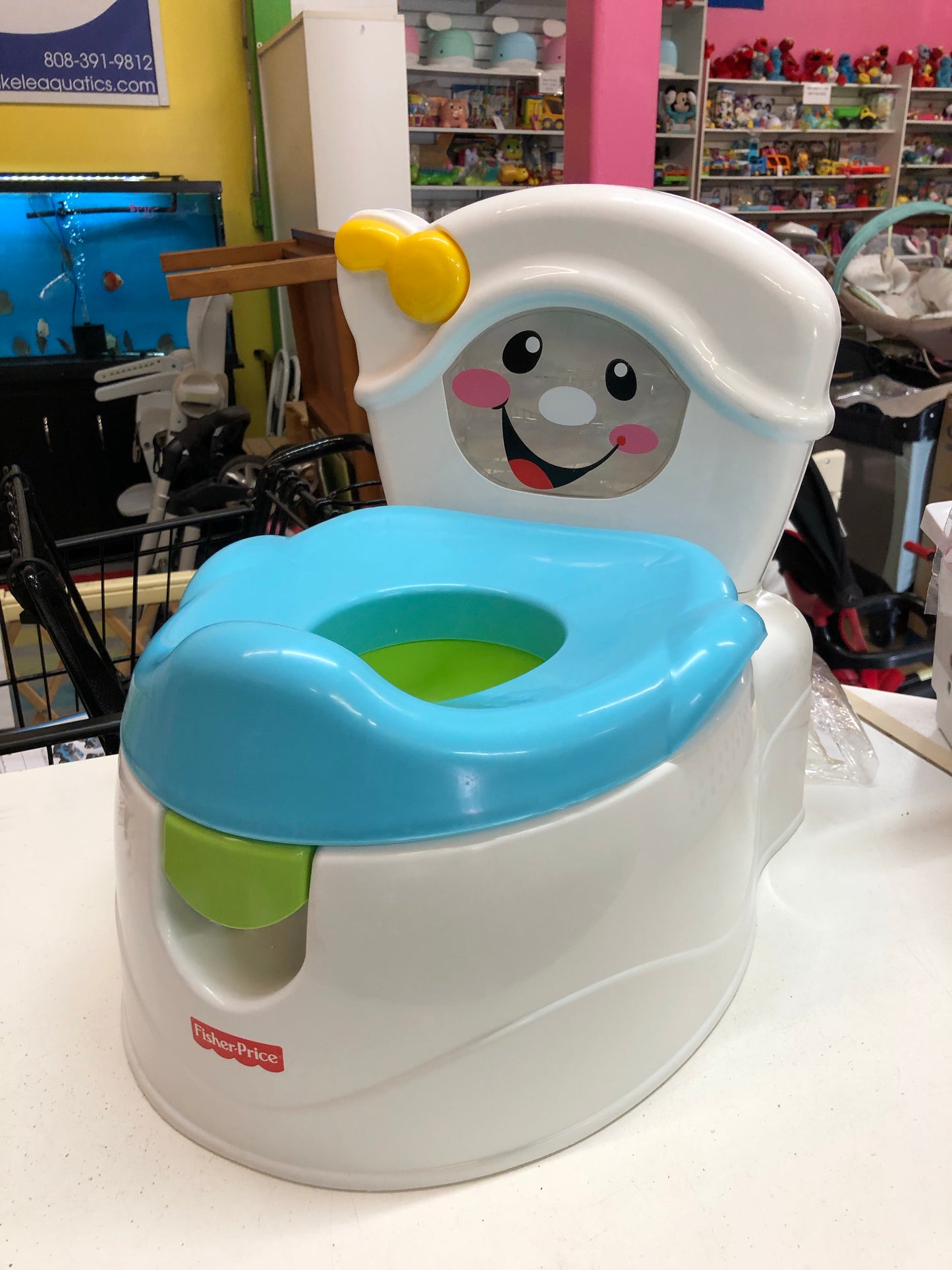 Fisher Price Learn to Flush Potty