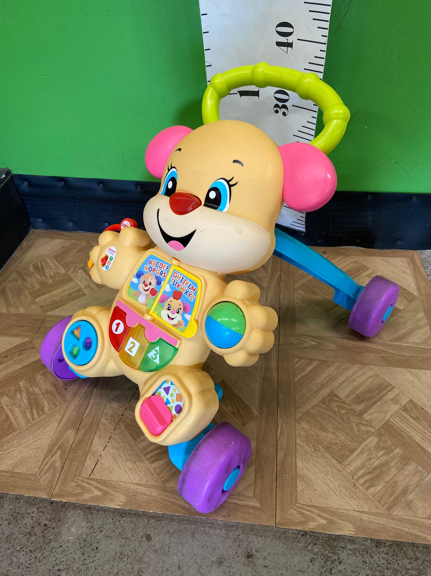 Fisher Price Smart Sis Walker