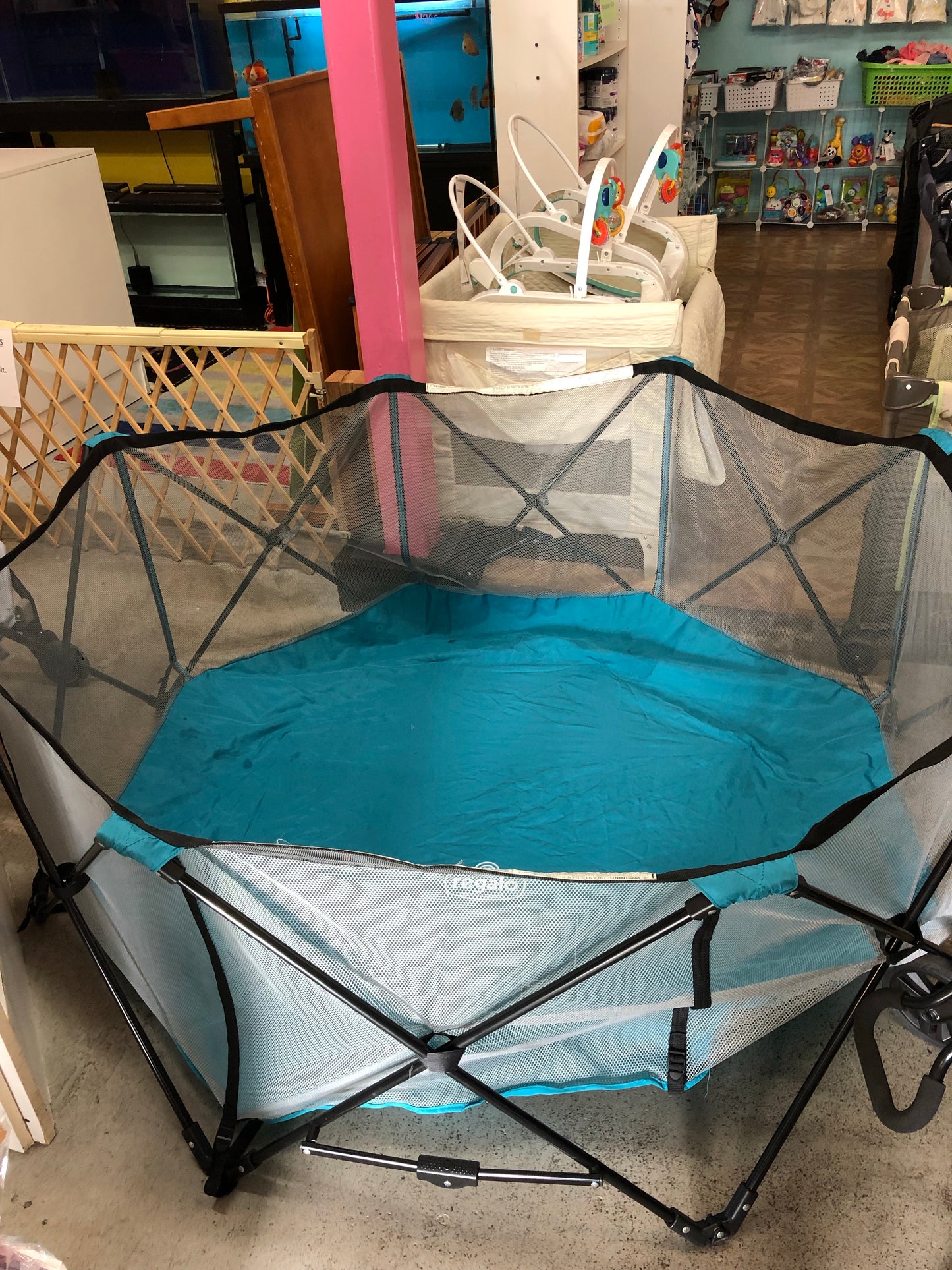 Regalo Playard, Teal