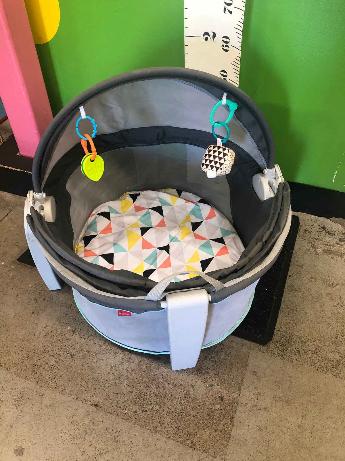 Fisher Price On-the-Go Baby Dome Bassinet
